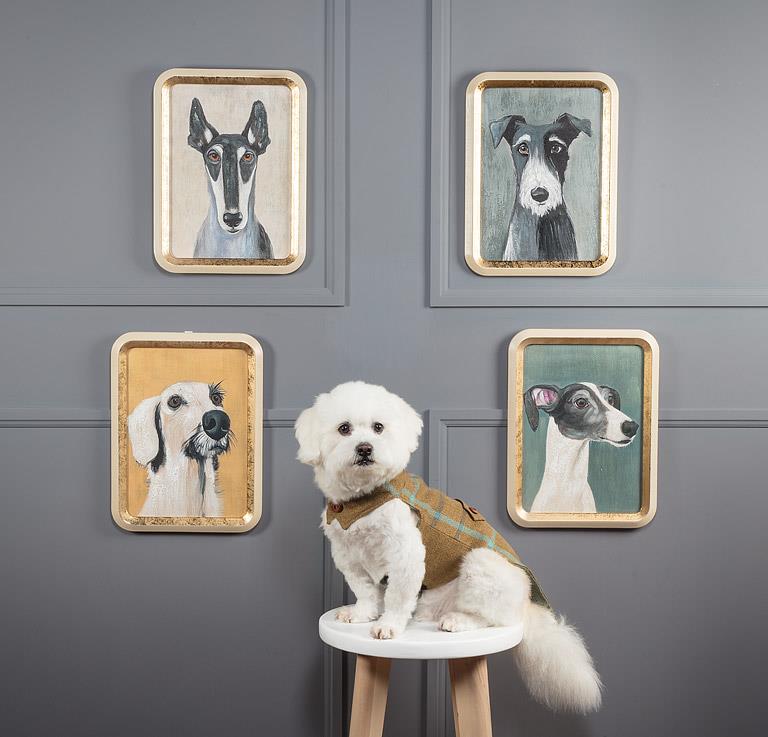 White dog on a stool in front of four framed paintings of dogs on a gray wall.