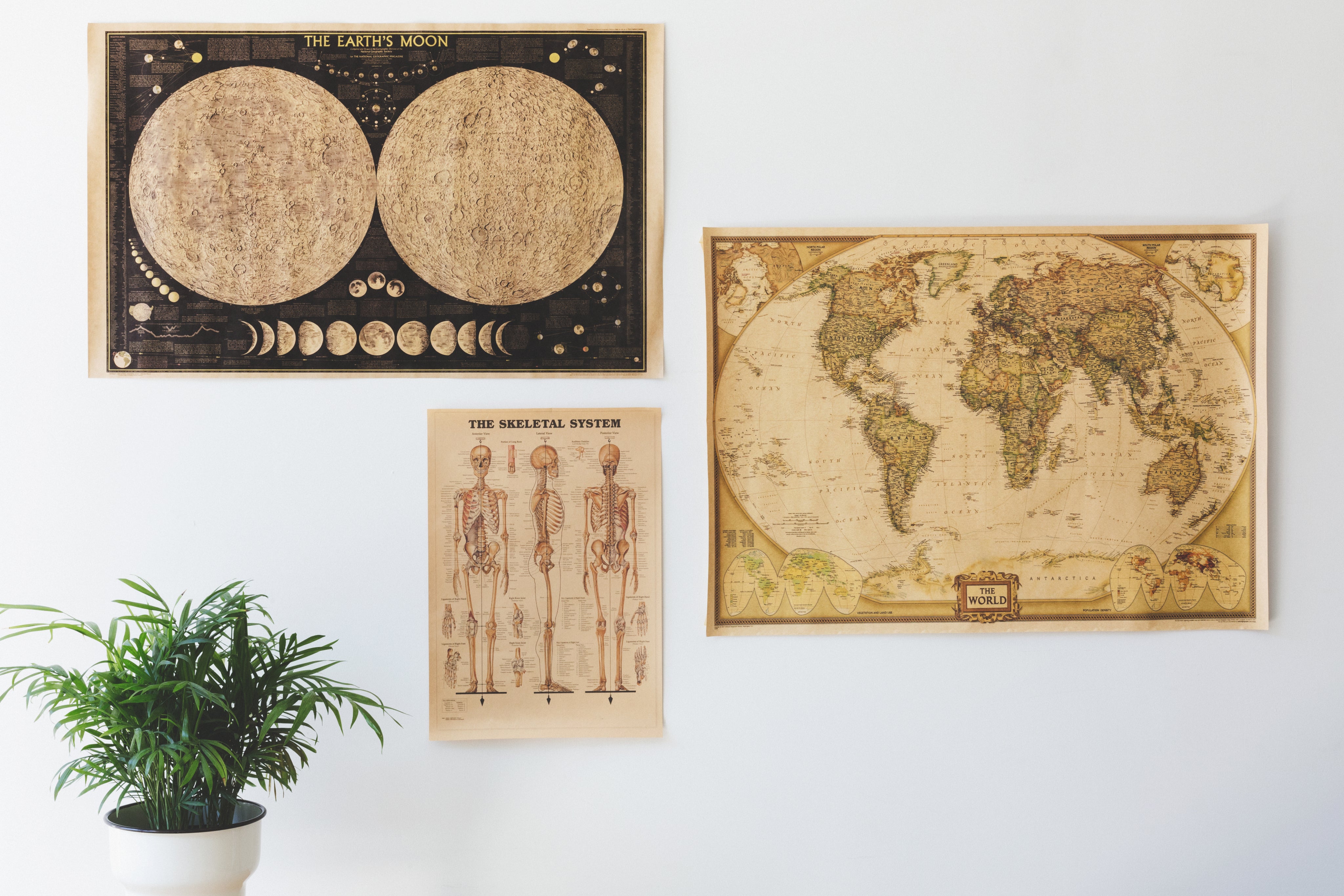 Antique posters on home wall