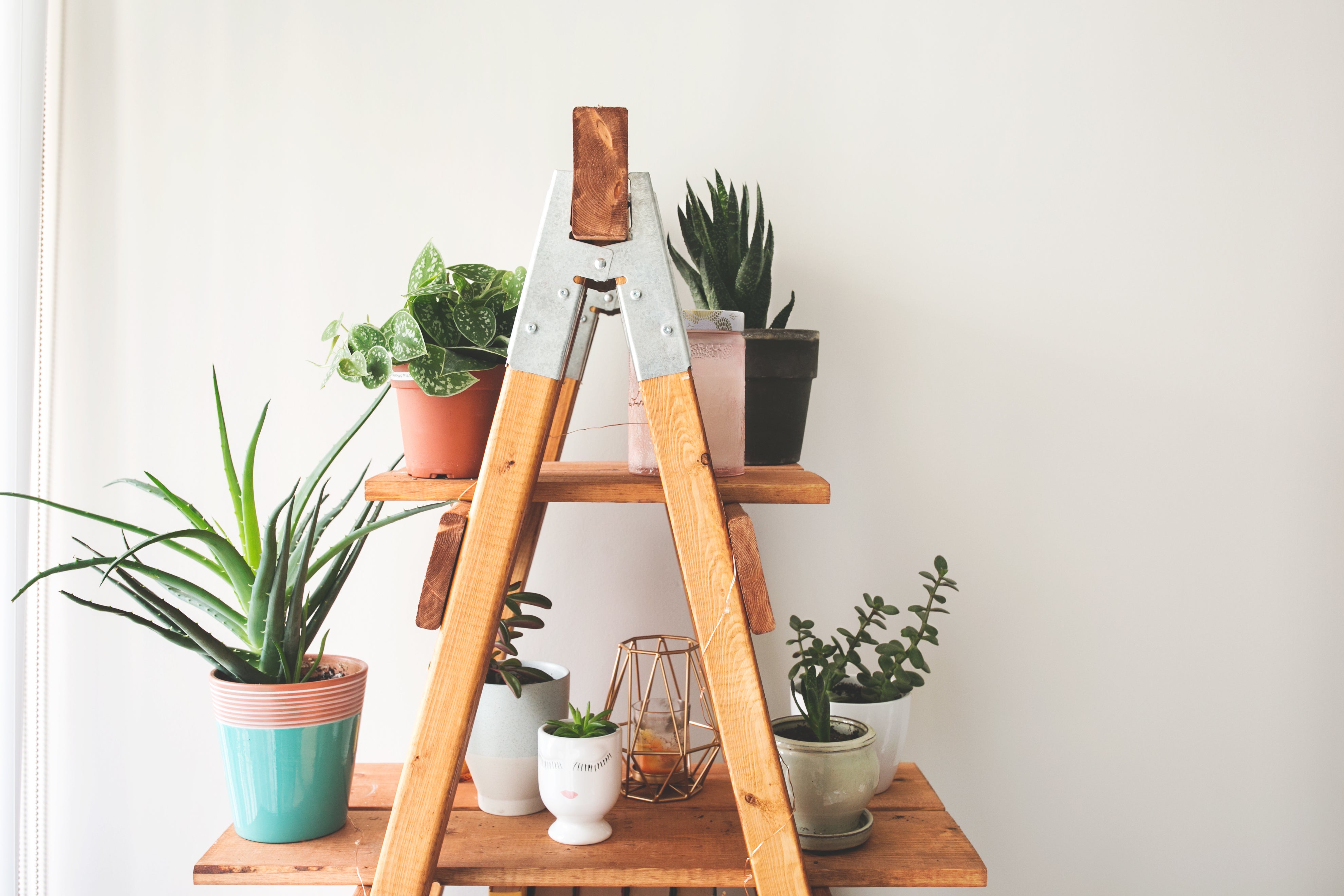 a ladder plant shelf.
