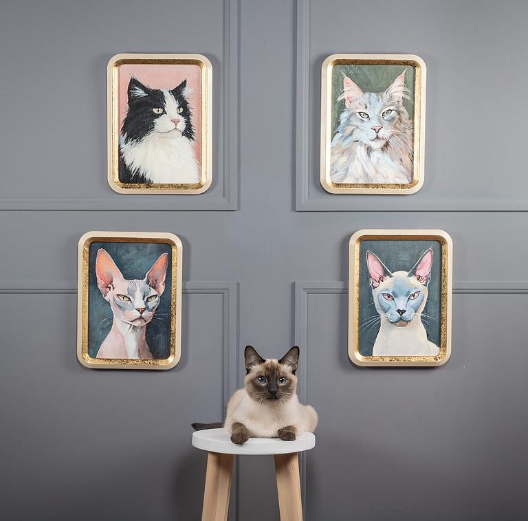 Four framed paintings of cats on a gray wall with a real cat sitting on a stool below.